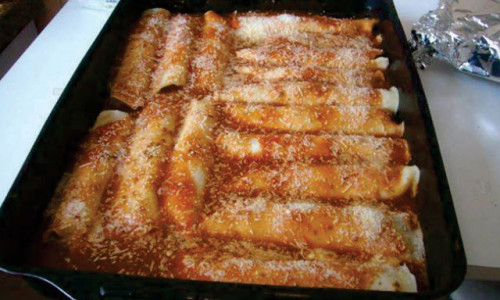 PANQUECA SUPER FCIL