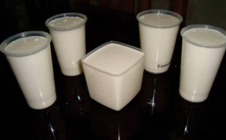 REQUEIJO CASEIRO DE LIQUIDIFICADOR